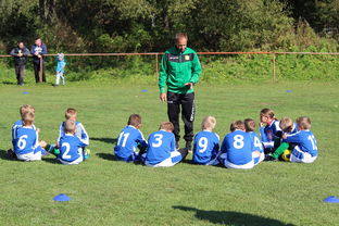 九游娱乐app官网-五大联赛是否提升边路轮换参与战术决策比重，五大联赛可以换5人